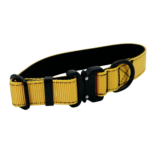 Russel & Co Sport Halsband